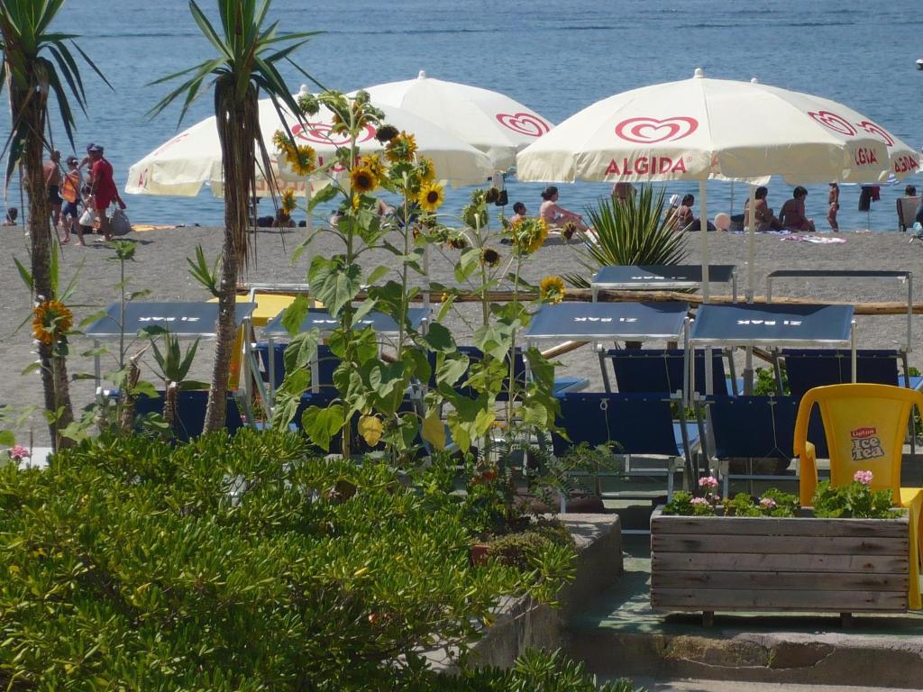Bed and Breakfast Zi Bak Barano dʼIschia Zewnętrze zdjęcie